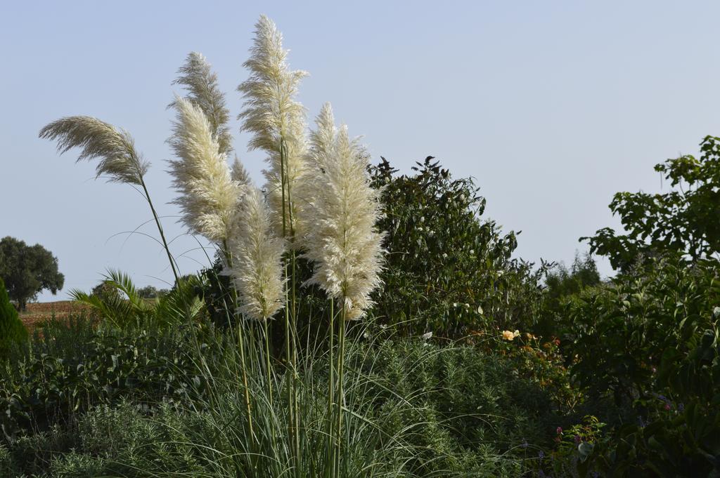 Bed & Breakfast Villa Lavanda Noci Room photo