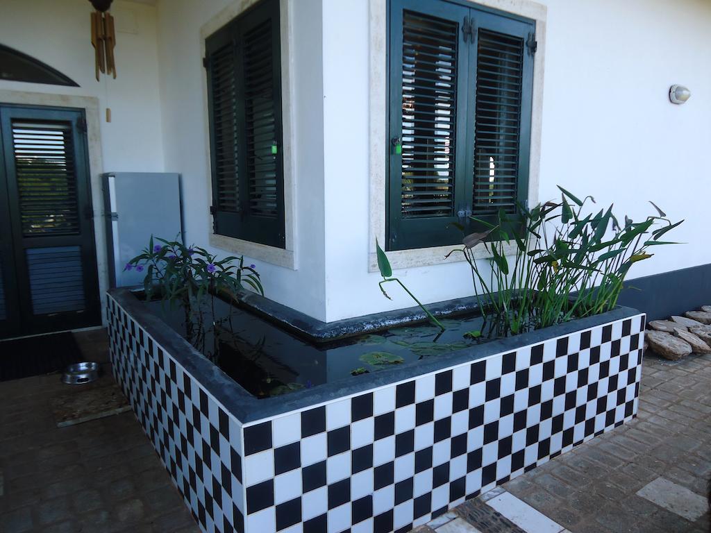 Bed & Breakfast Villa Lavanda Noci Exterior photo