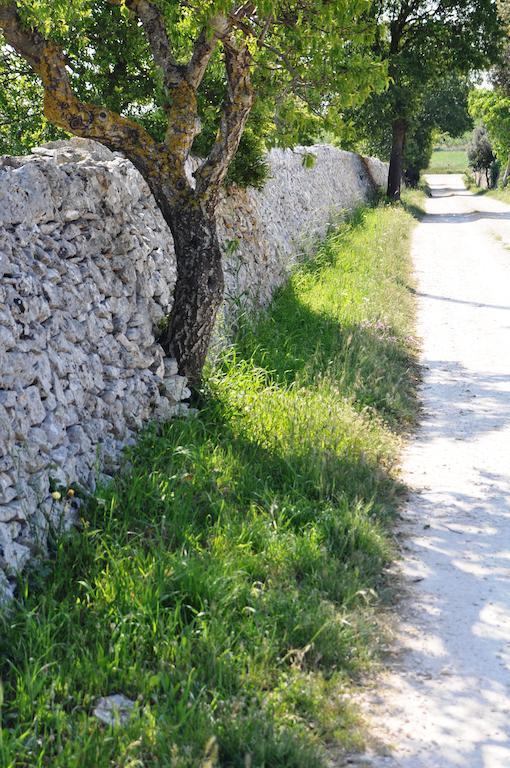 Bed & Breakfast Villa Lavanda Noci Exterior photo