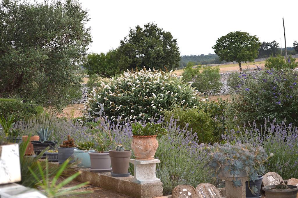 Bed & Breakfast Villa Lavanda Noci Exterior photo